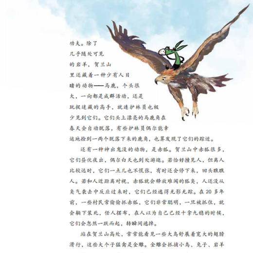 《我的家乡在中国》（共6册） 商品图11