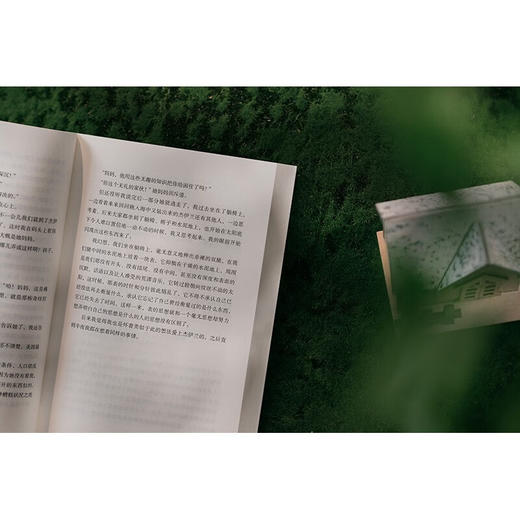 寂静的房子（诺奖得主帕慕克透视年轻人心灵的犀利杰作）（土耳其）奥尔罕·帕慕克 著 商品图5