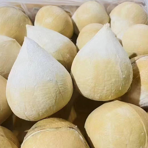 【限时活动🔥】 大果泰国奶香椰皇12个 椰香浓郁   纯天然饮料   椰子鸡必备  冰箱冷藏 商品图4