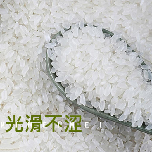 米妹妹鲜香贡米5kg 商品图3