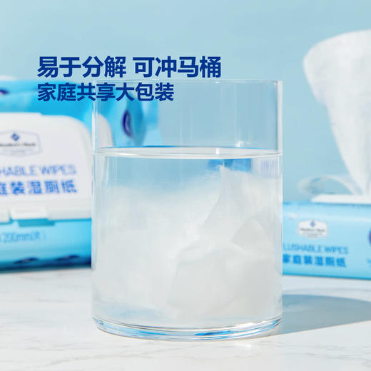 聚便利 X 山姆 Member's Mark 家庭装湿厕纸 1包*40片（133mm*200mm/片） 商品图3