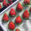 精选黑盒~丹东99草莓【12粒大果 净重约250克/盒】 商品缩略图7