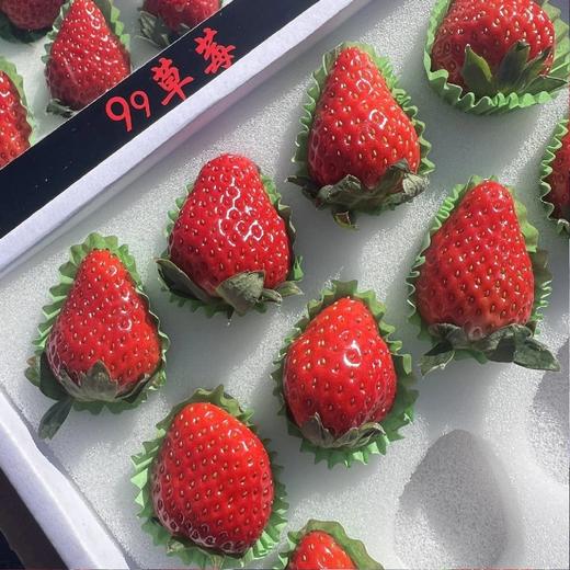 精选黑盒~丹东99草莓【12粒大果 净重约250克/盒】 商品图7