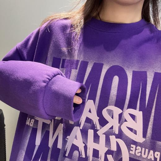 ZB1圆领大字母图案卫衣41005（紫黑） 冬季 944010240321 商品图3