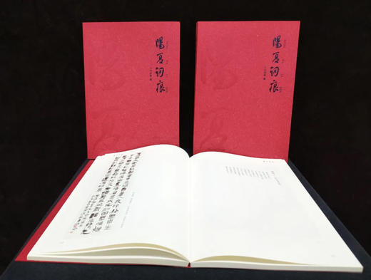 冯剑星《阳夏词痕》签名版！用100个词牌创作100首词，邀100位书坛名家复古集唱！ 商品图1