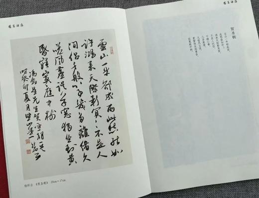 冯剑星《阳夏词痕》签名版！用100个词牌创作100首词，邀100位书坛名家复古集唱！ 商品图5