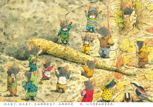 14只老鼠第一辑 1-6册 商品图4