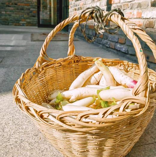 白萝卜 (500g)|情圆自产|甘、甜、脆|开胃下火 商品图4