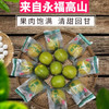 高山罗汉果 商品缩略图1