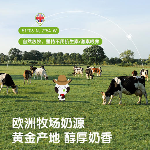 [生牛乳酸奶组合]小皮 希腊式生牛乳常温酸奶果泥6袋装 商品图5