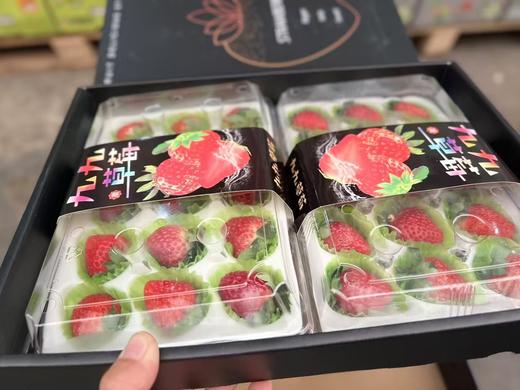 🍓🍓当仁不让的颜值代表【丹东红颜九九草莓】🍓简直太治愈了！草莓香味浓郁，带着淡淡的奶香✅每一颗都来自果农的精心呵护☂️ 只为让你吃上一口安心草莓🍓酸酸甜甜，超级美味😋 商品图12