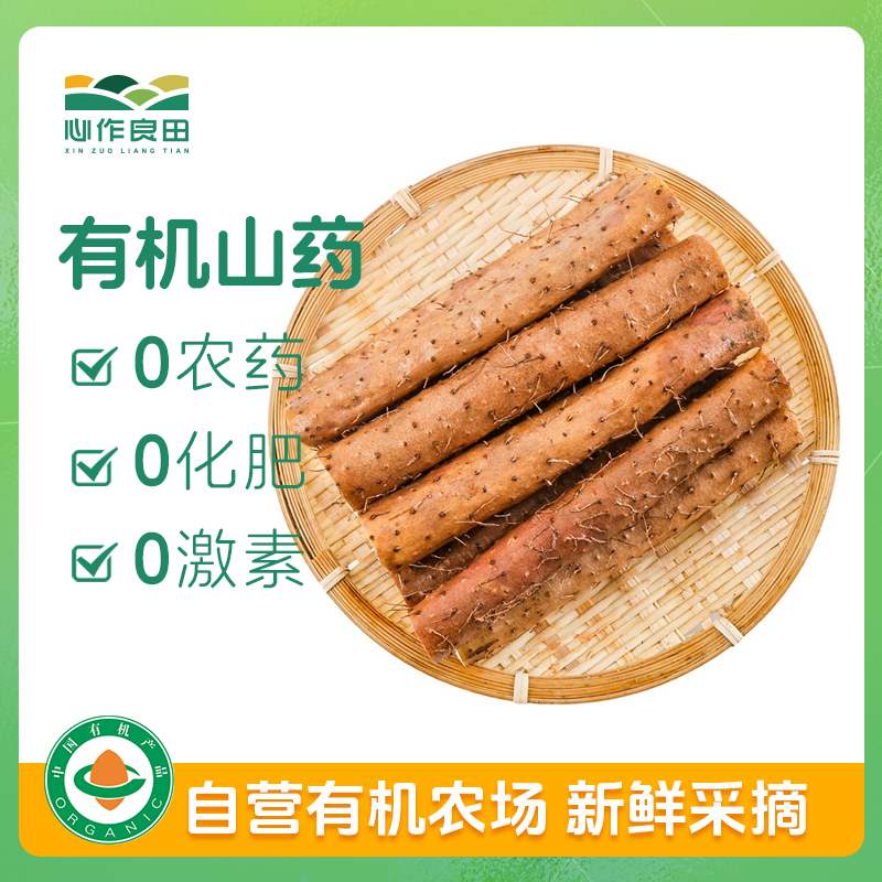 有机山药300g（周二周五发货）
