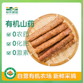 有机山药300g（周二周五发货）