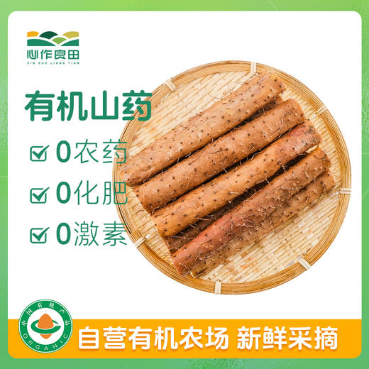 有机山药300g（周二周五发货） 商品图0