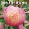【同行精选】内蒙古沙漠有机苹果 生态种植 自然生长不套袋  口感丰富 持久回味（生鲜不易保存，下单后注意物流信息和电话，及时取件） 商品缩略图1