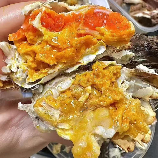 苏州正宗阳澄湖大闸蟹·防伪蟹扣脚标·全国包顺丰空运包鲜活 商品图3