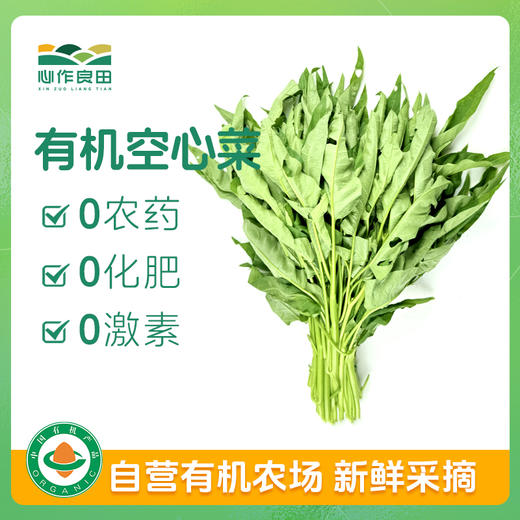 有机空心菜500g 商品图0