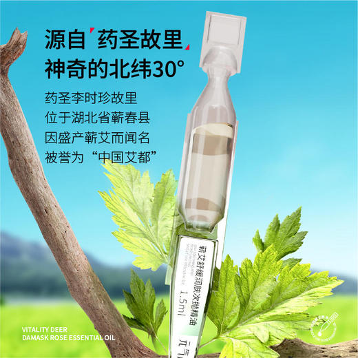 元气地带艾草精油贴蒸汽肩颈热敷艾灸宝 商品图2