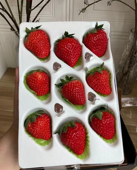 🍓🍓当仁不让的颜值代表【丹东红颜九九草莓】🍓简直太治愈了！草莓香味浓郁，带着淡淡的奶香✅每一颗都来自果农的精心呵护☂️ 只为让你吃上一口安心草莓🍓酸酸甜甜，超级美味😋 商品图8