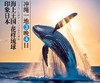 【北京出发】海上王国-花样琉球观鲸4日  海岛度假酒店  探秘琉球文化 首里城历史遗迹 商品缩略图0