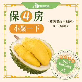 小聚一下·保底【四房】