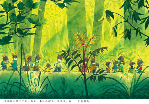 14只老鼠第一辑 1-6册 商品图2