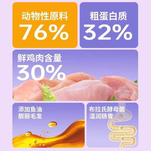 热卖中 碧净雪猫粮 商品图3