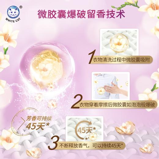白猫  长效留香织物柔顺剂  1.8kg 商品图1
