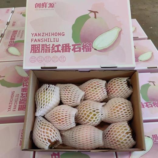 胭脂四季红番石榴 商品图3