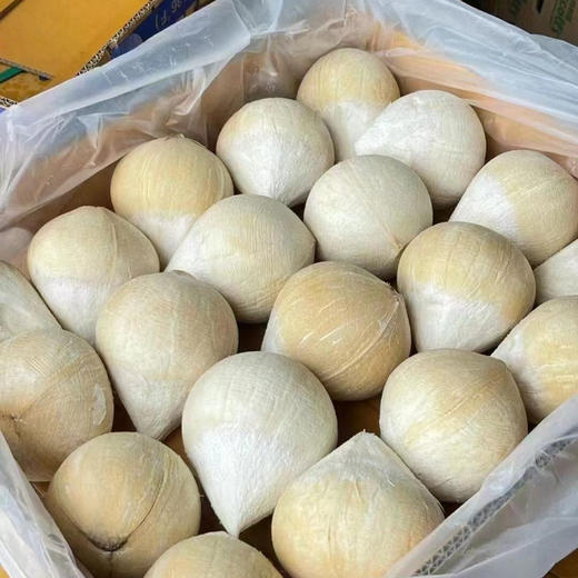 【限时活动🔥】 大果泰国奶香椰皇12个 椰香浓郁   纯天然饮料   椰子鸡必备  冰箱冷藏 商品图5