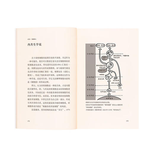 《生命是怎么一回事》认识生命之精彩（日）长沼毅 著 14岁懂社会 读库 商品图2