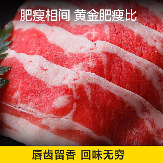 大黄鲜森  冬季火锅肥牛卷羊肉卷150g*10盒【肉肉专场】 商品图3