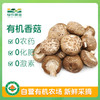 有机香菇100g 商品缩略图0
