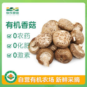 有机香菇100g