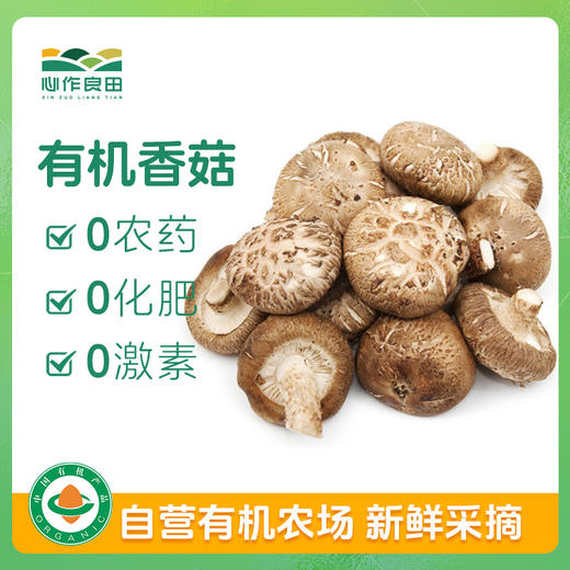 有机香菇100g 商品图0