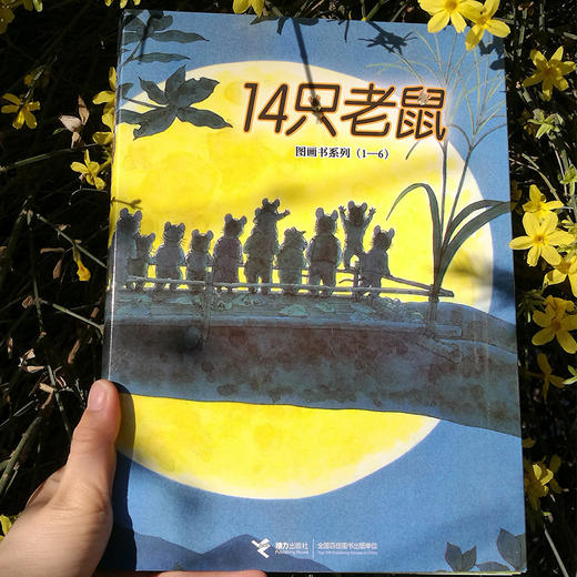 14只老鼠第一辑 1-6册 商品图1