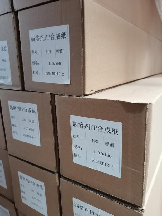 180g户外PP纸 商品图2
