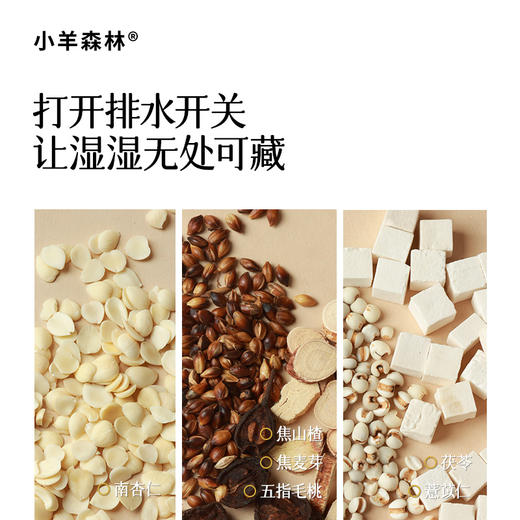 「五指毛桃茯苓饮」六大草本力，赶走“废水”，孩子清爽有动力 商品图2