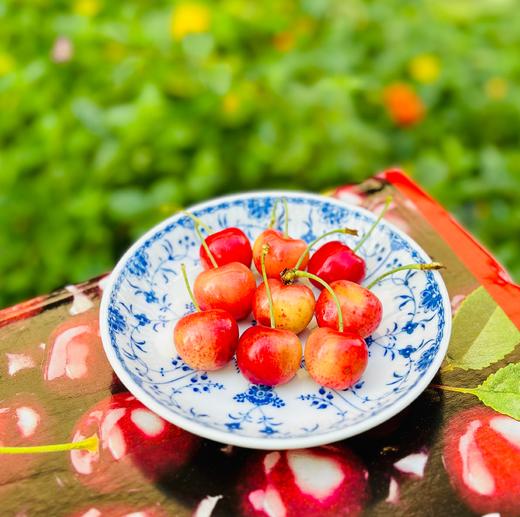 🌺挑嘴儿的说只吃黄车，新到的蕾妮儿2J加大果，一片明黄红艳🌹皮极其薄，莹润清雅，淡淡的粉黄嫣红，萃嫩鲜活，细致沁人的柔，细杆儿的果子纯甜蜜啦～🧡🧡 商品图7
