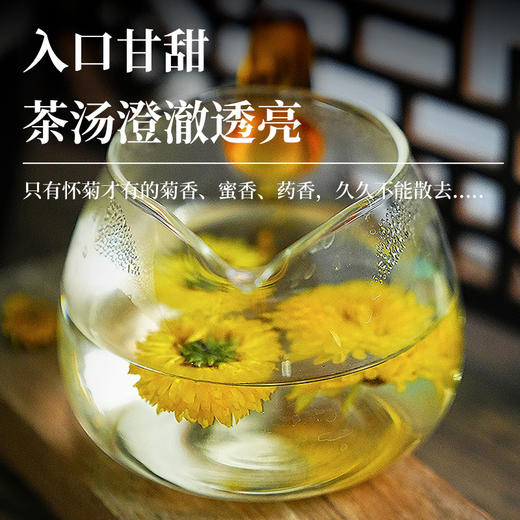 四大怀药之怀菊花  入口甘甜茶汤澄澈透亮 地道选材 从源头把控品质 商品图3