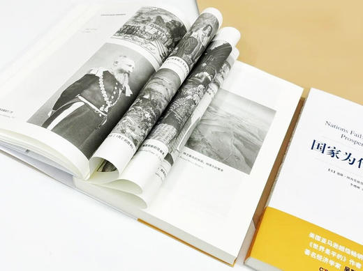 2024诺贝尔经济学奖《国家为什么会失败》（美）德隆·阿西莫格鲁、詹姆斯·A·罗宾逊 著 商品图4