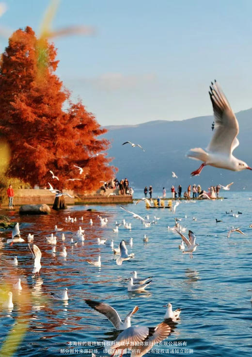 【嗨玩大理】 丽江/大理 纯玩双飞5日游（丽江往返） 商品图1