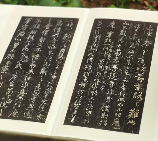 翰墨瑰宝8种，8开，绸布面册页装，上海图书馆编，上海古籍出版社2017前后出版，每种仅印500册。 商品图6