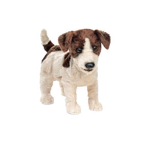 FOLKMANIS 杰克罗素?FOLC2848