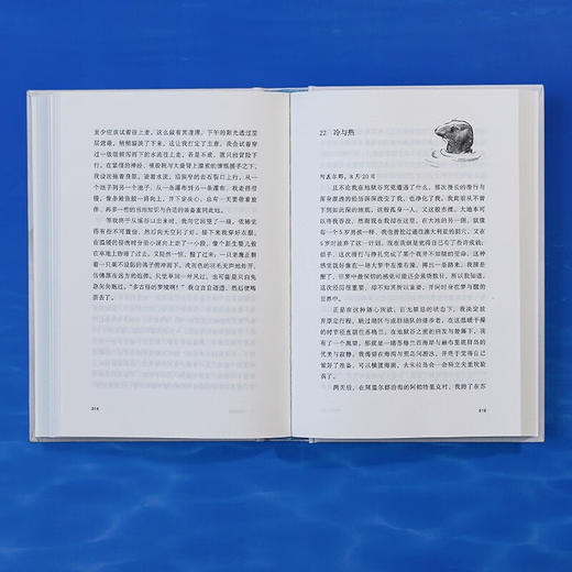 野泳去（自然文学经典之作。跃入荒野，告别内耗。）（英）罗杰·迪金 著 商品图7