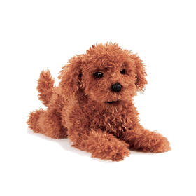 FOLKMANIS 贵宾犬FOLC3206