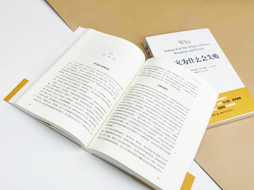 2024诺贝尔经济学奖《国家为什么会失败》（美）德隆·阿西莫格鲁、詹姆斯·A·罗宾逊 著 商品图3