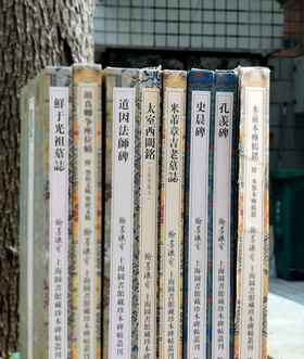 翰墨瑰宝8种，8开，绸布面册页装，上海图书馆编，上海古籍出版社2017前后出版，每种仅印500册。