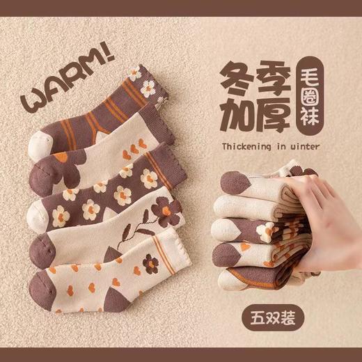 诺妃5双装儿童袜子冬季加绒加厚毛圈袜女童可爱韩式咖色保暖中筒袜子 商品图2