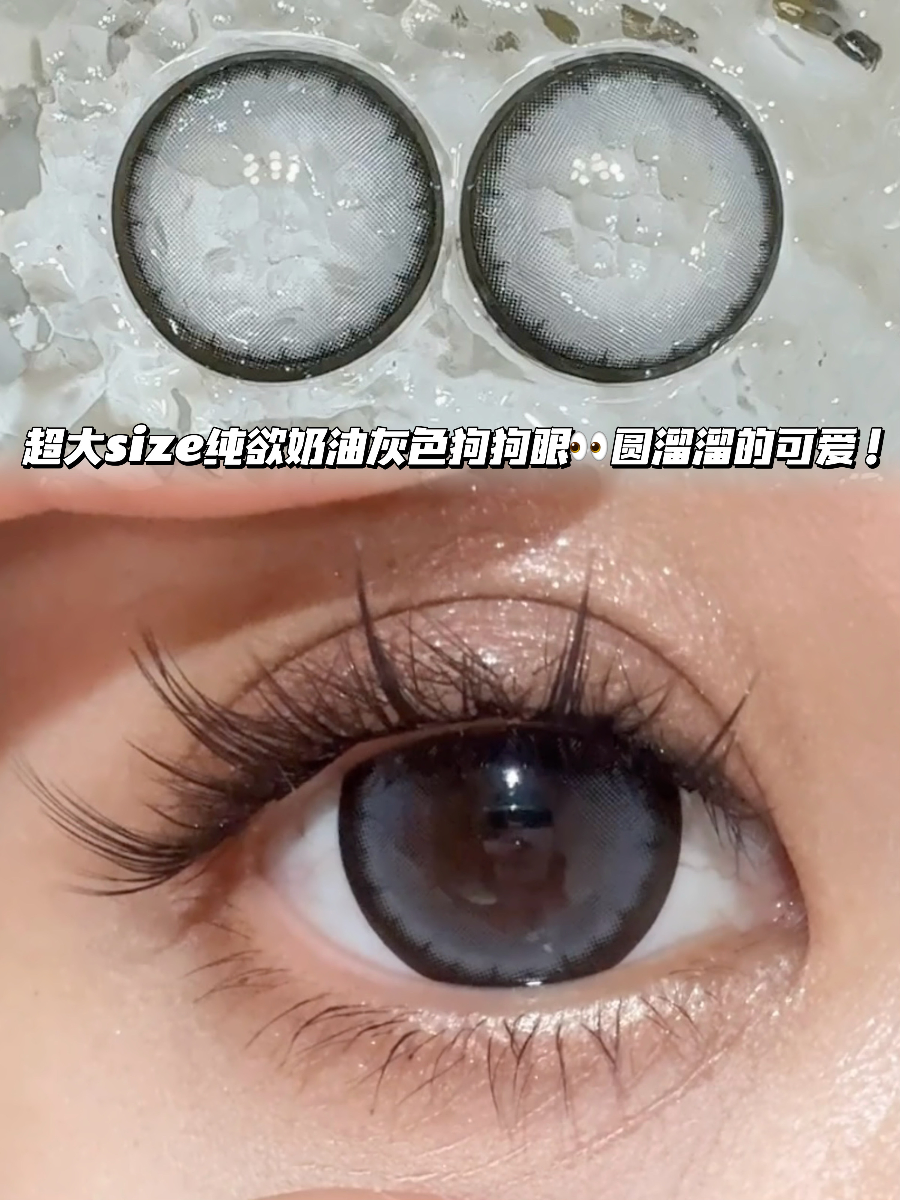 Donut 复古奶油圈圈·半年抛型